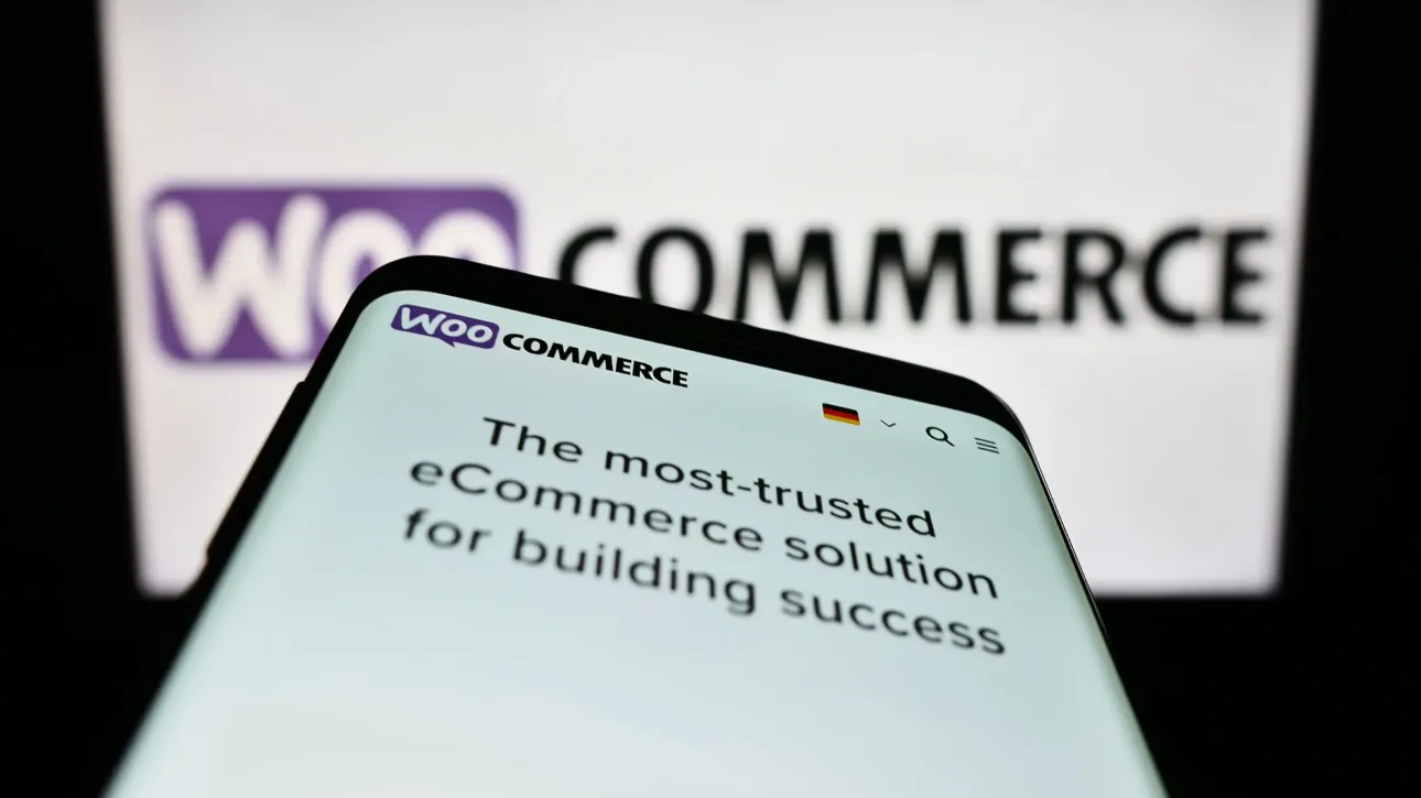 guide-woocommerce-csv