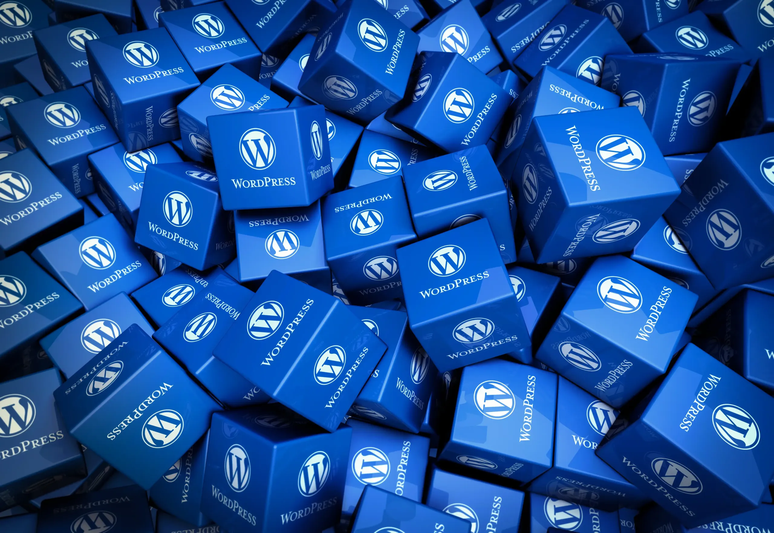 cms-wordpress